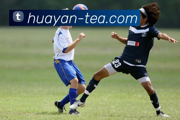 多媒体互动体验